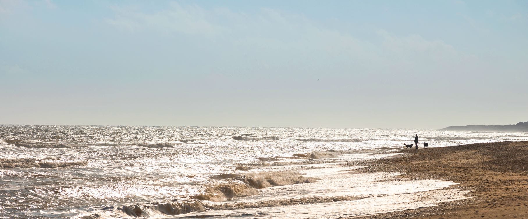 669150422cbcb14b74b14b91 Sea Link