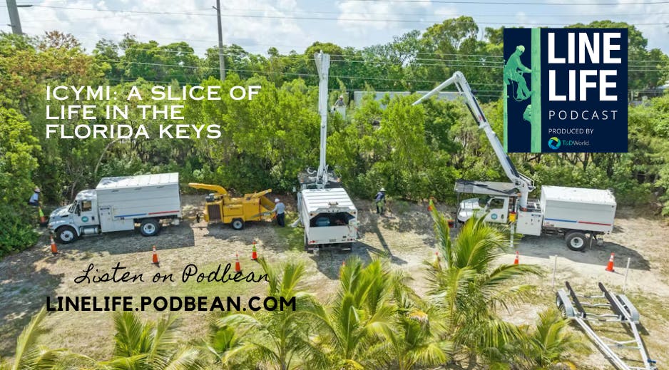 66915bf2f385b978828a25a2 Icymifloridakeysimage