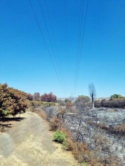 Charred land under the transmission lines Charred land under the transmission lines