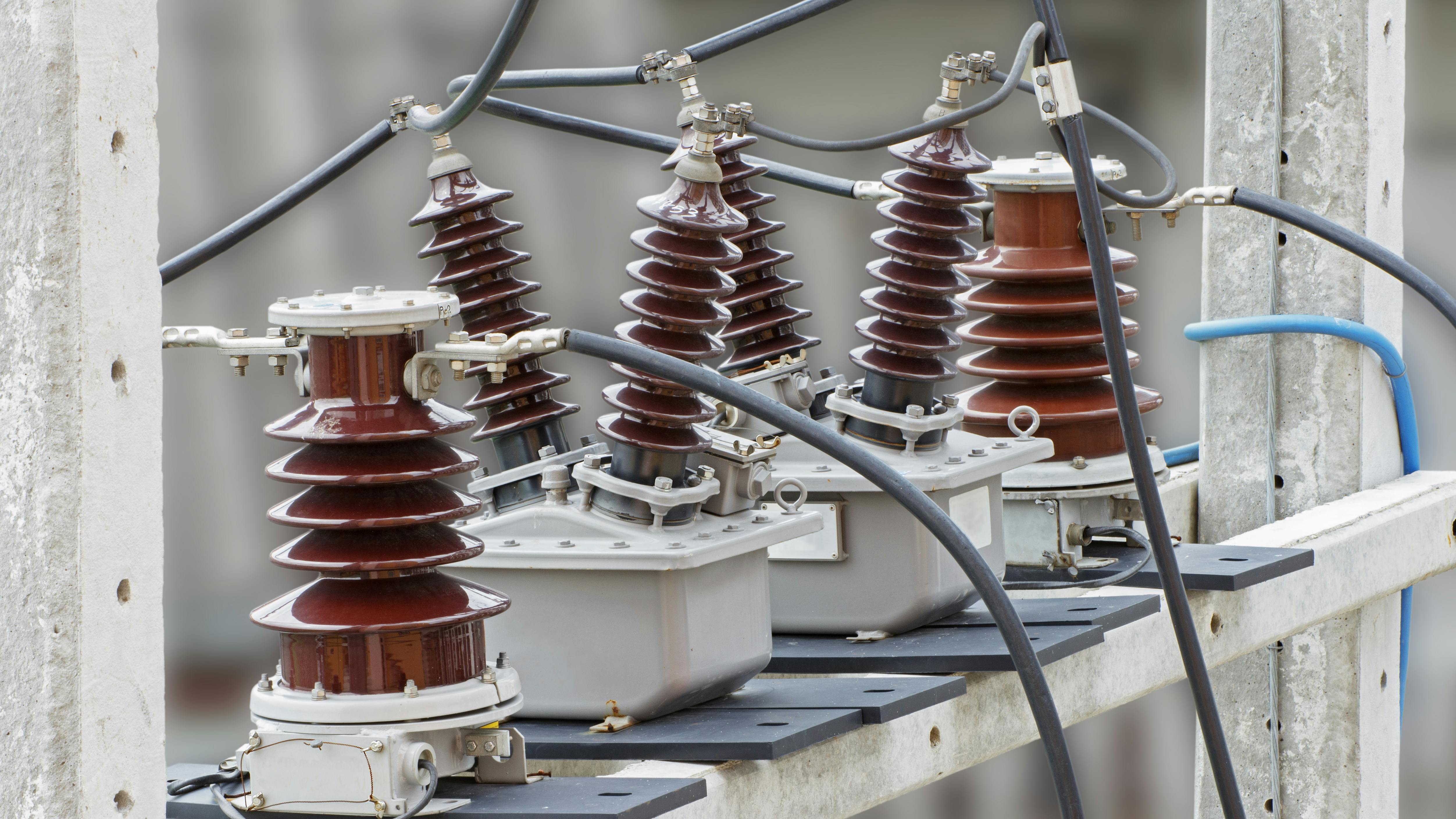 66a2606ea2d365d109e87180 Dreamstime Xxl 47662008