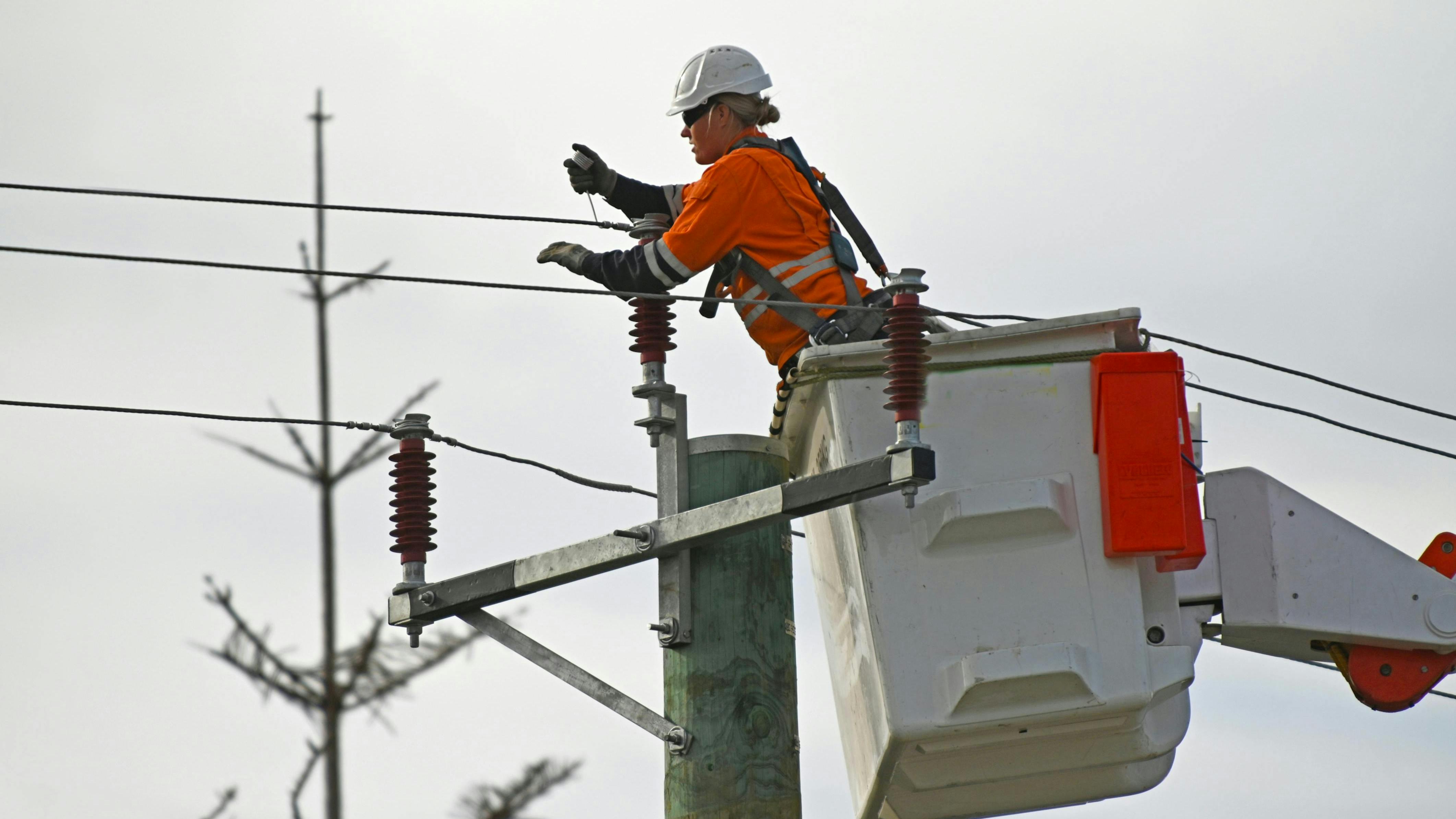 66a264c9826d787e41e922ea Dreamstime Xxl 186456852