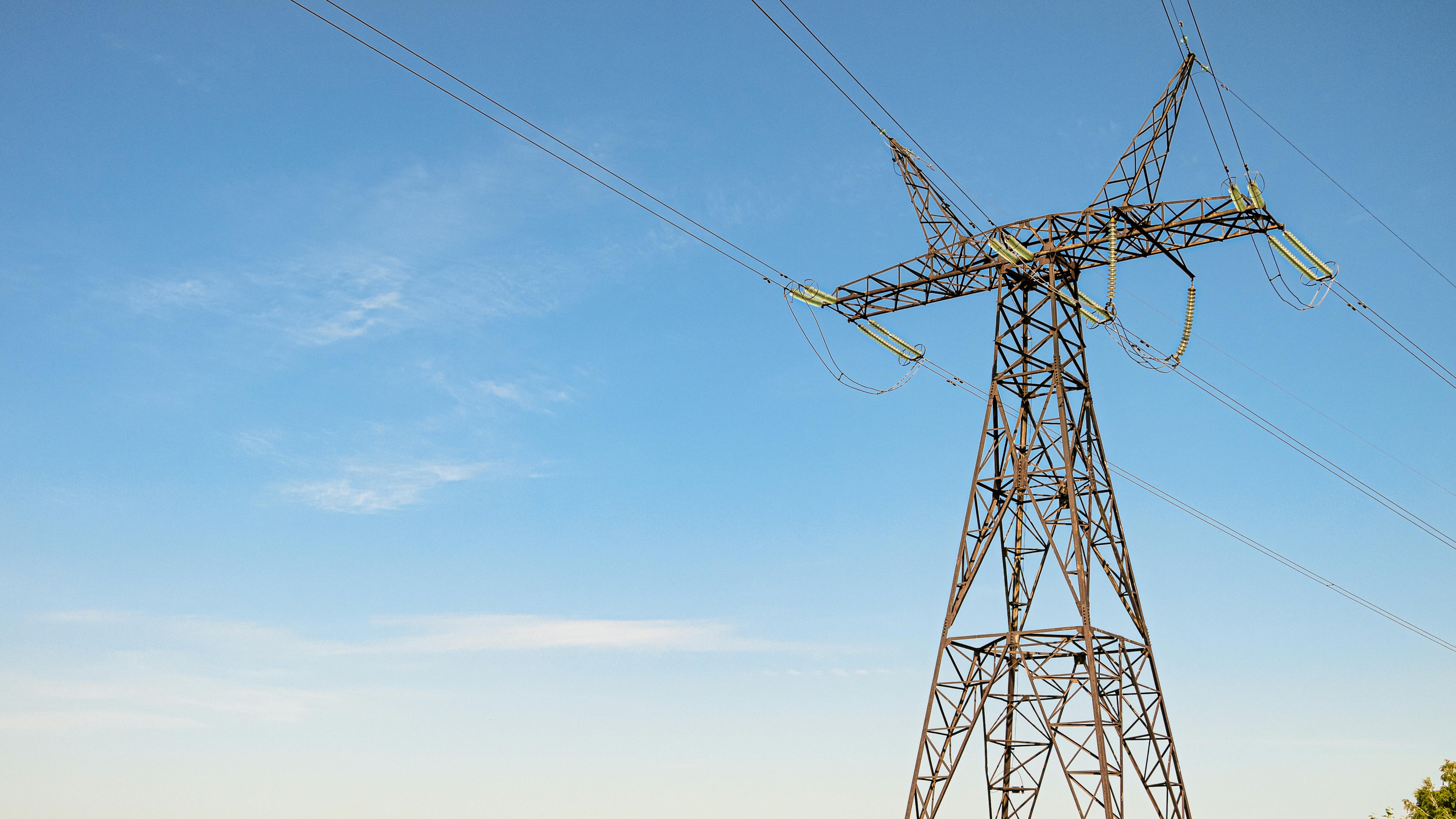 66ab986a938943e4708ddc26 Dreamstime Xxl 164491805 1