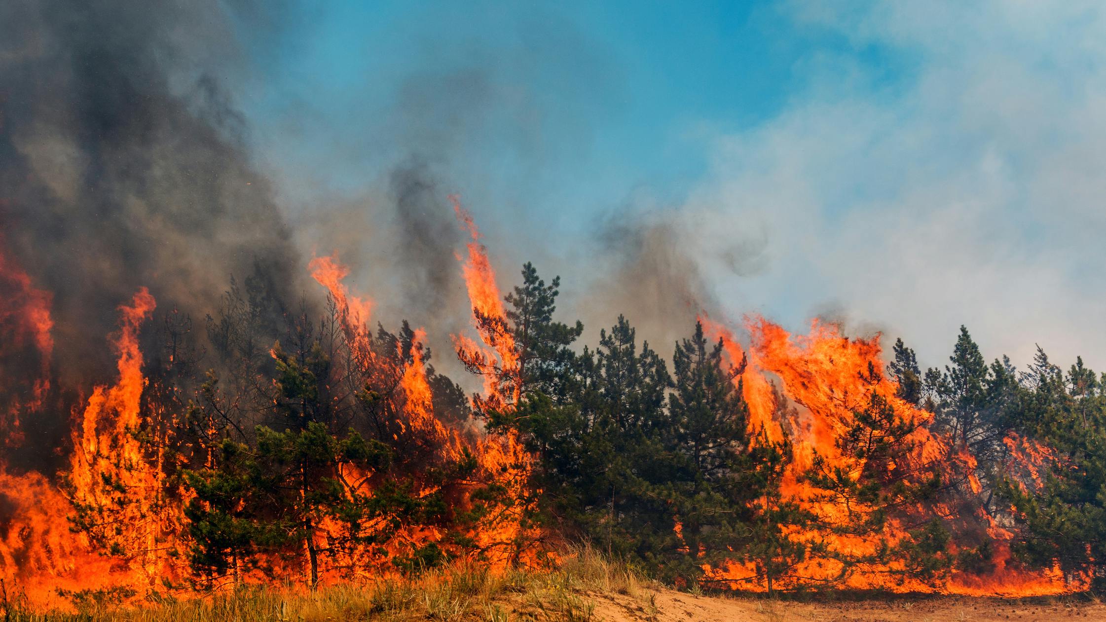 66bbbcf7c01496212328637e Dreamstime M 101604737