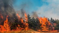 66bbbcf7c01496212328637e Dreamstime M 101604737 66bbbcf7c01496212328637e Dreamstime M 101604737