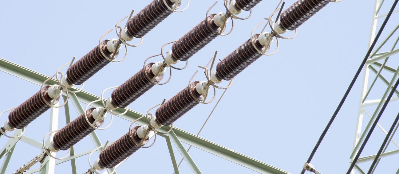 shutterstock_4561285001300x565