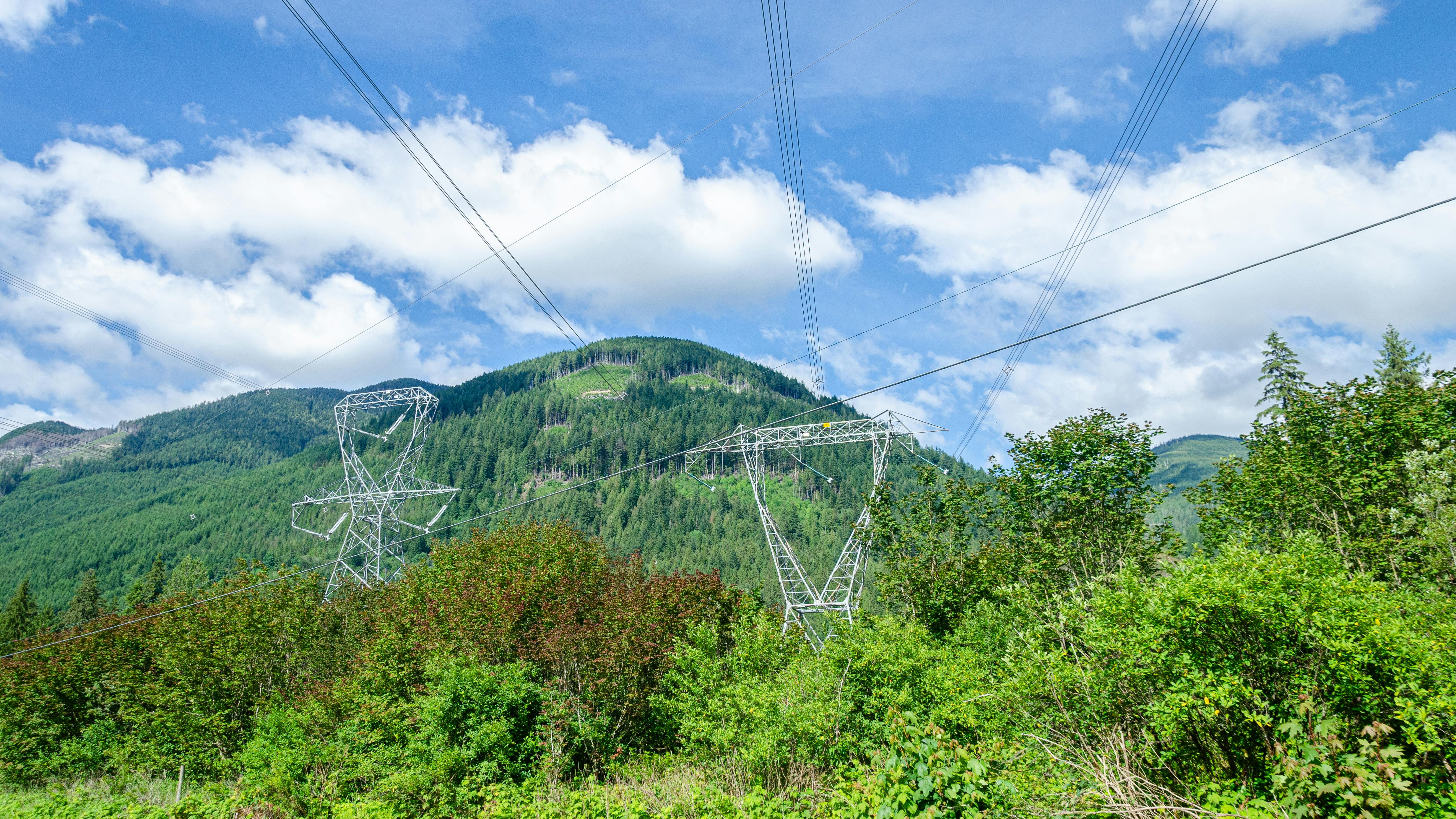 66bd11b57eea940f1442fb10 Dreamstime Xxl 324673388