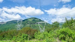 66bd11b57eea940f1442fb10 Dreamstime Xxl 324673388 66bd11b57eea940f1442fb10 Dreamstime Xxl 324673388