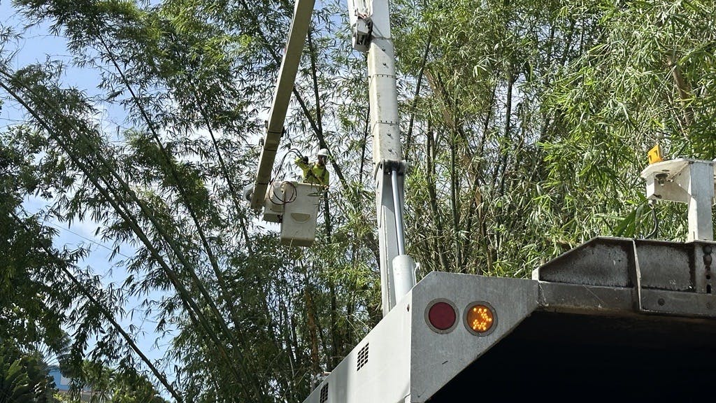 66bf7f9b71c24e486b06af4c Gvg9fzkxuaawtmk