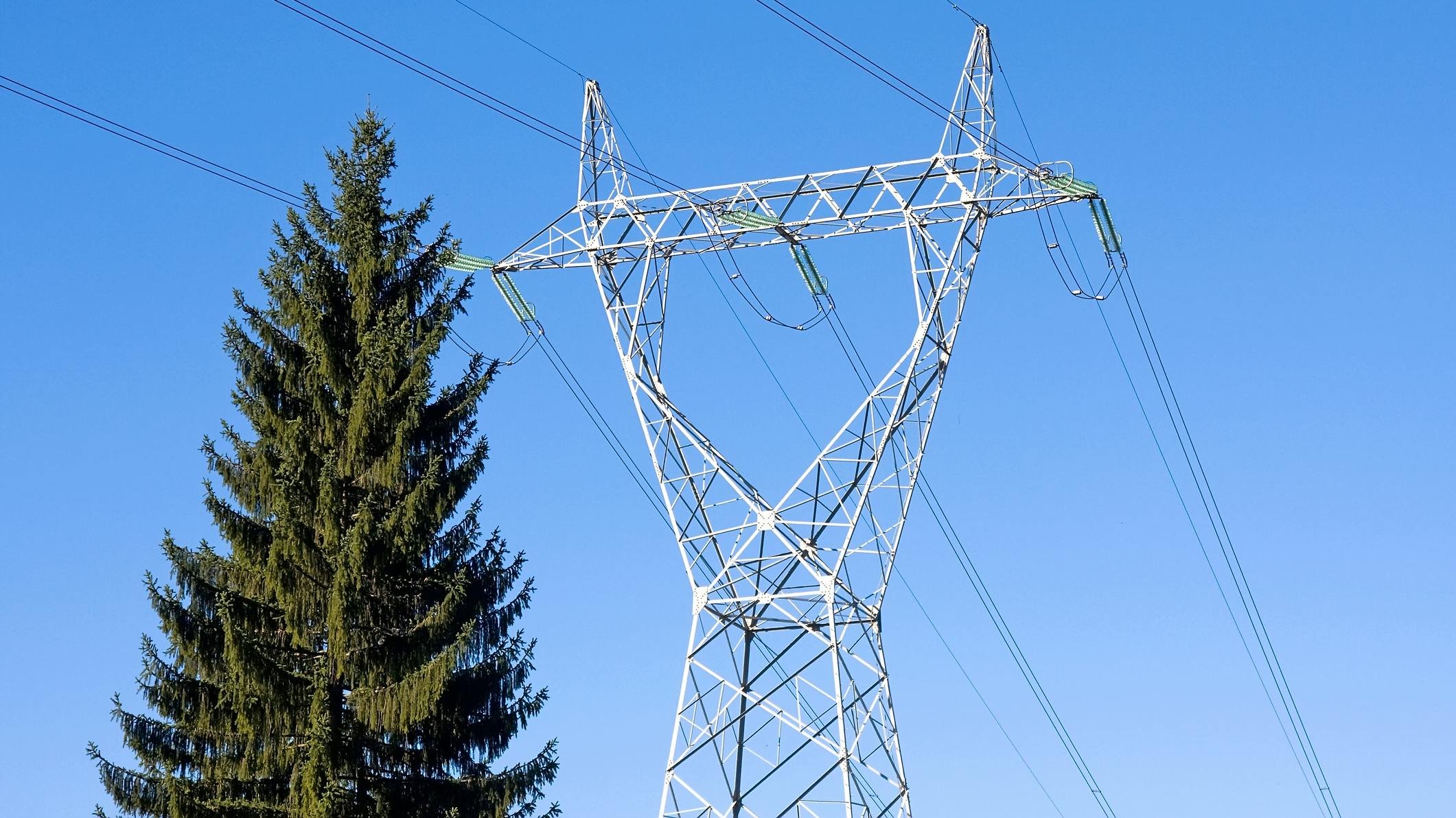 66c8a1544d8274ebebb25894 Dreamstime M 71776901