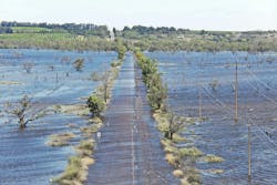flooded_bookpurnong_road_near_berri_1 flooded_bookpurnong_road_near_berri_1
