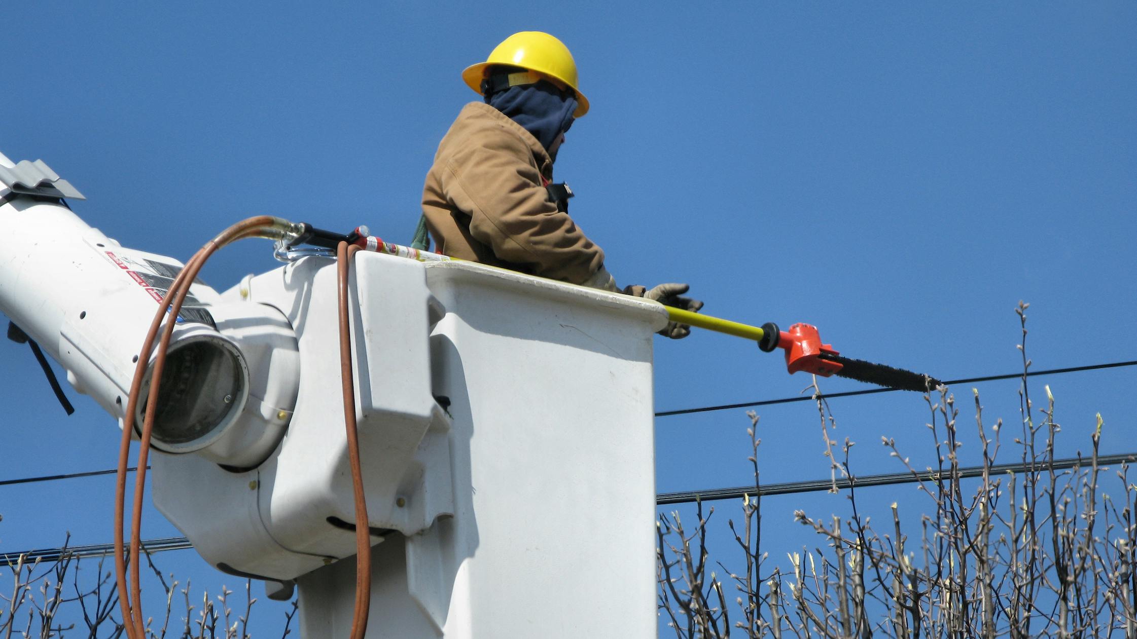 66cdd4fb289d20cafd53acf1 Dreamstime M 6019973