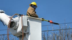 66cdd4fb289d20cafd53acf1 Dreamstime M 6019973 66cdd4fb289d20cafd53acf1 Dreamstime M 6019973