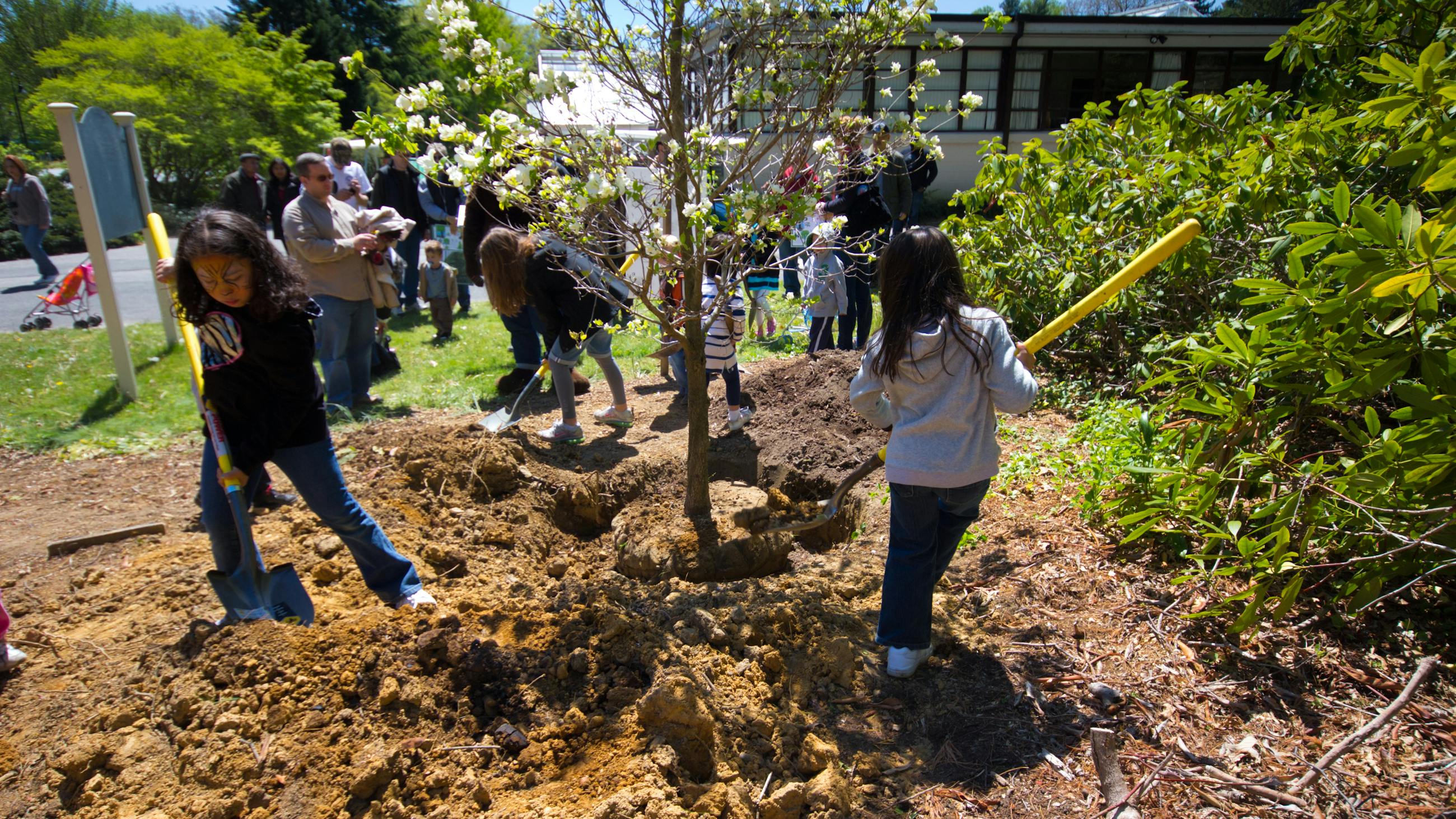 dreamstime_m_30648871