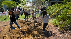 dreamstime_m_30648871 dreamstime_m_30648871