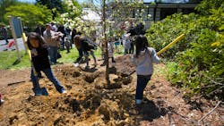 66cdd844848a27b1e9575bdd Dreamstime M 30648871 66cdd844848a27b1e9575bdd Dreamstime M 30648871