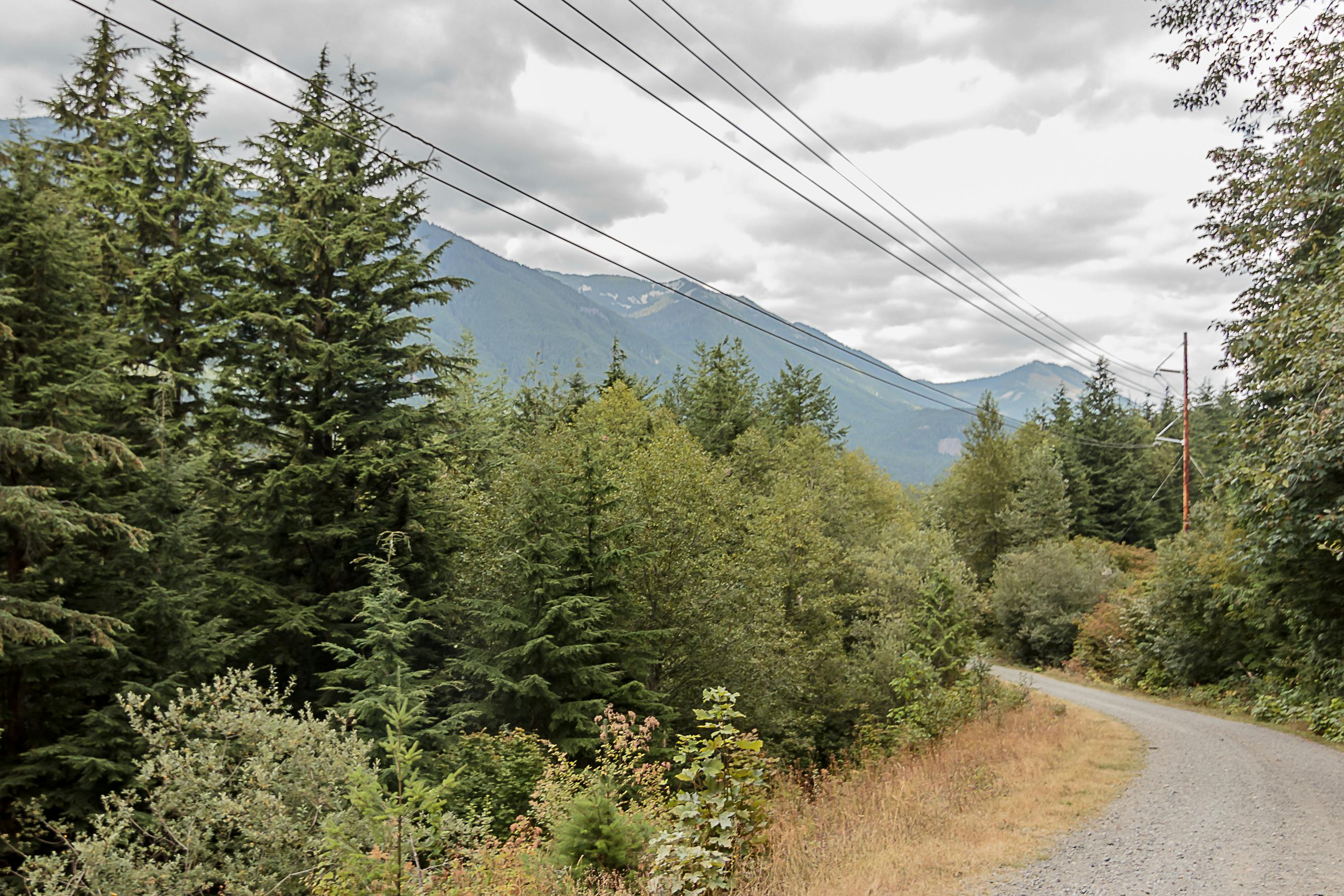 66d8cecfa6fe1c1af5dc8181 Dreamstime L 134552312