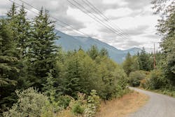 66d8cecfa6fe1c1af5dc8181 Dreamstime L 134552312 66d8cecfa6fe1c1af5dc8181 Dreamstime L 134552312