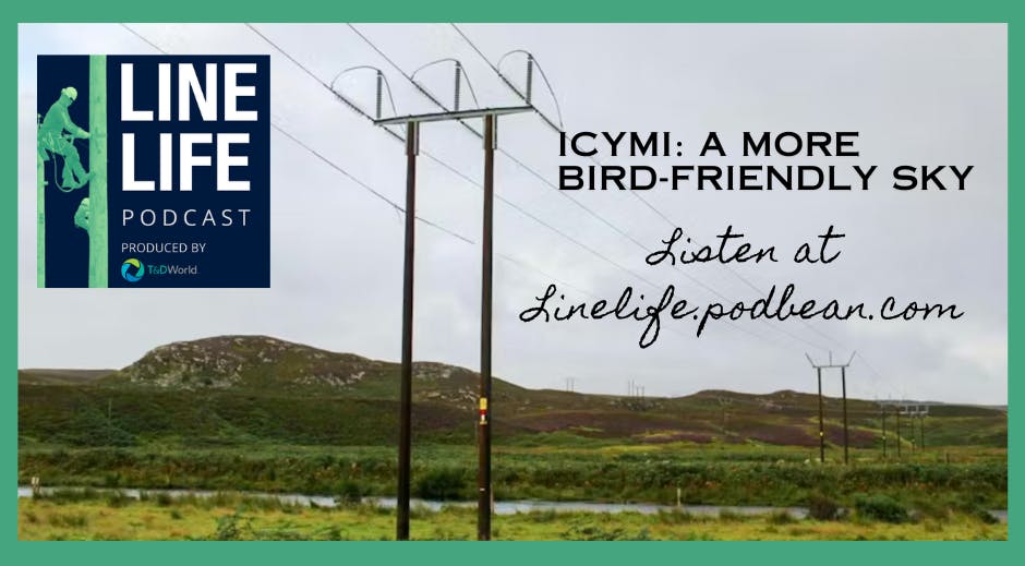 66e461e2f080fd738686d0a0 Icymibirdfriendlysky