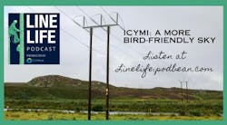 66e461e2f080fd738686d0a0 Icymibirdfriendlysky 66e461e2f080fd738686d0a0 Icymibirdfriendlysky