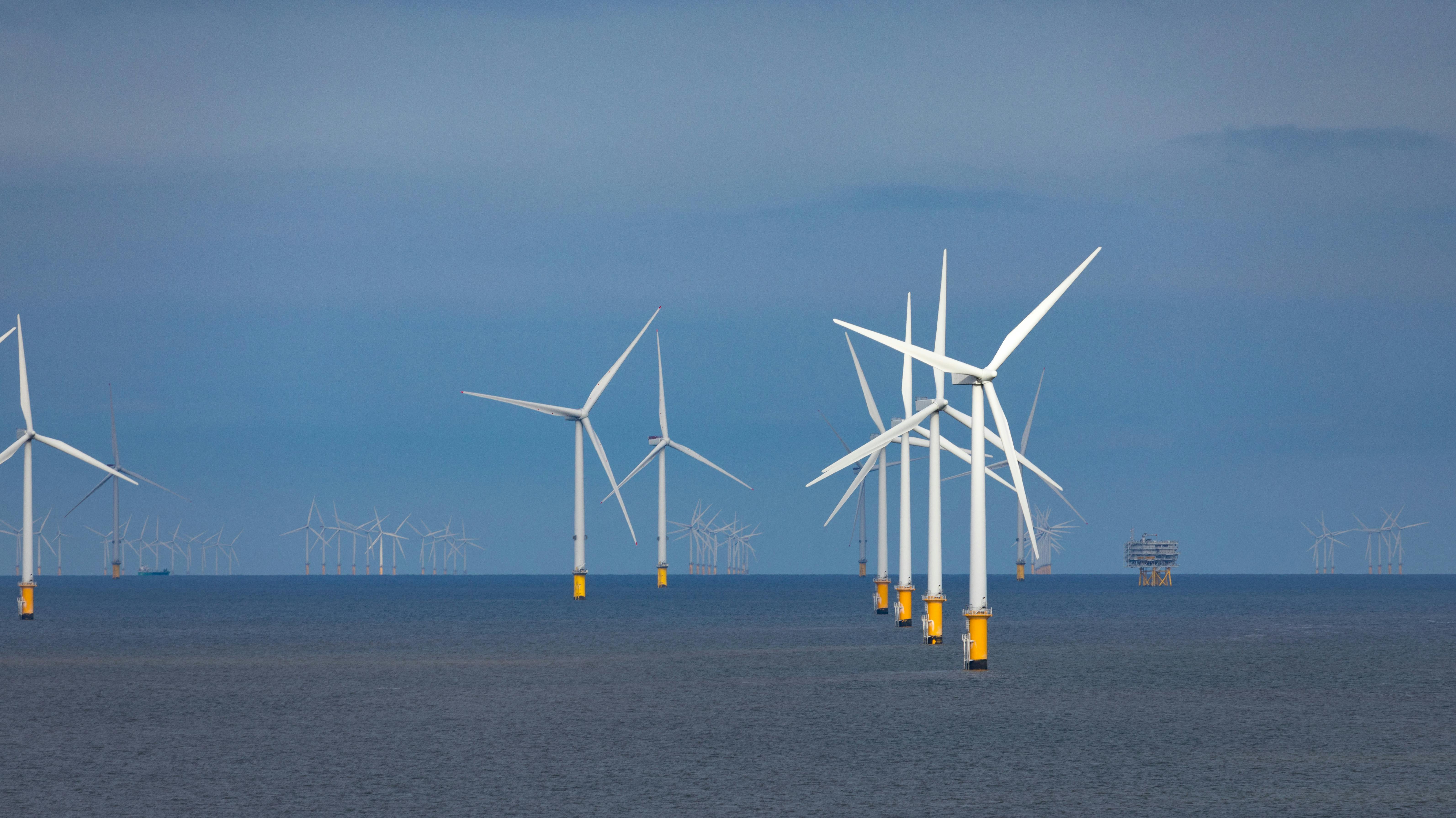 66e9d7b1ee7c9f73d67902de Dreamstime Xxl 134348407