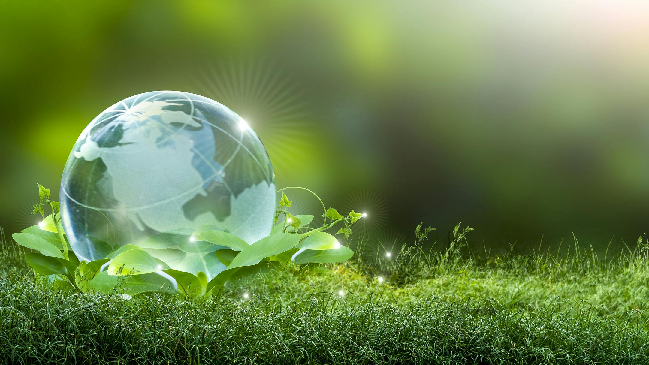 66eadd57f30936e204e3c814 Dreamstime M 167178129