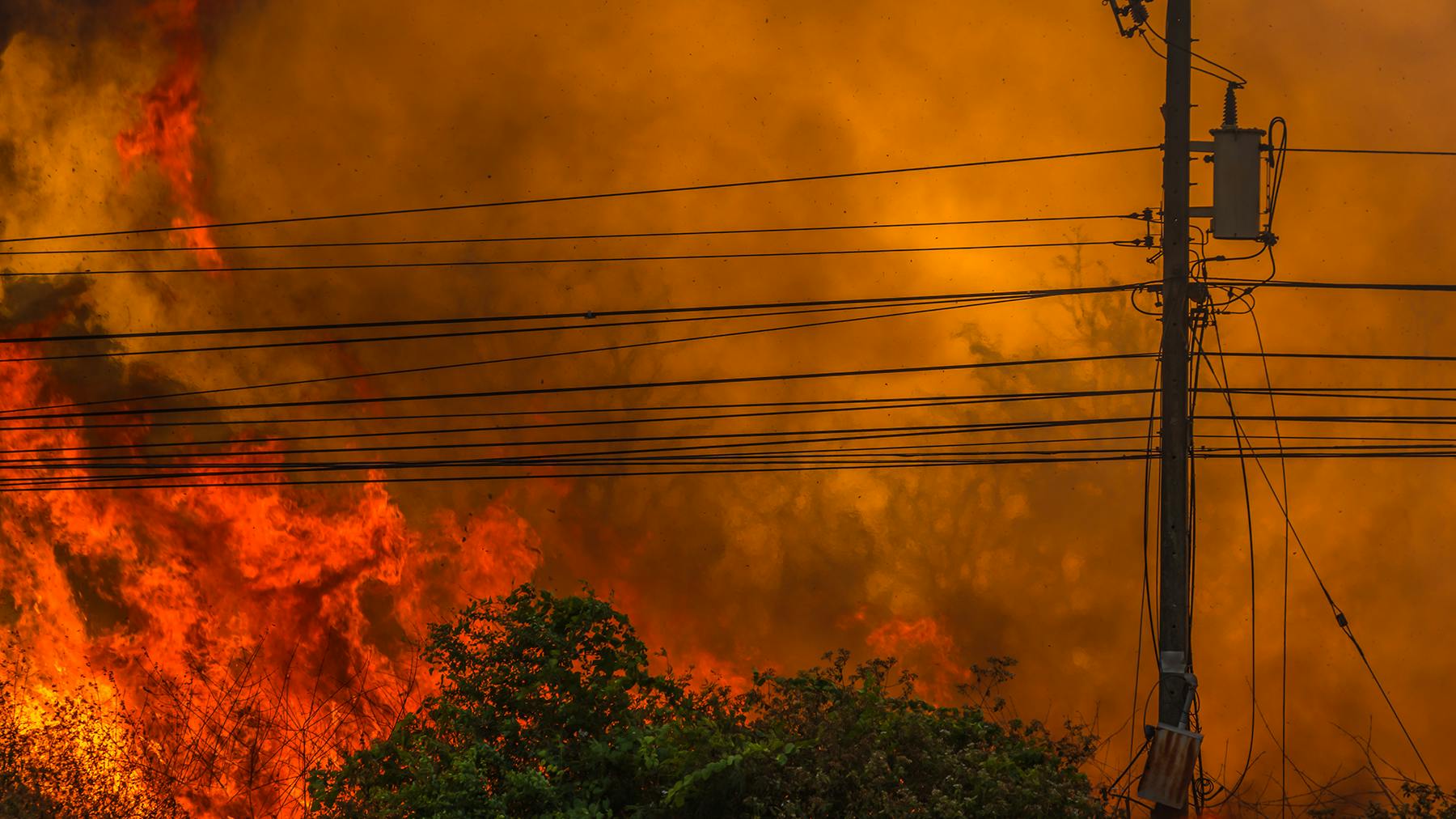 With increasing frequency and intensity of wildfires combined with heightened demands for fewer and less disruptive power outages, utilities face high-stakes decisions when it comes to choosing materials for their distribution system designs.