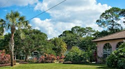 dreamstime_m_24500115 dreamstime_m_24500115