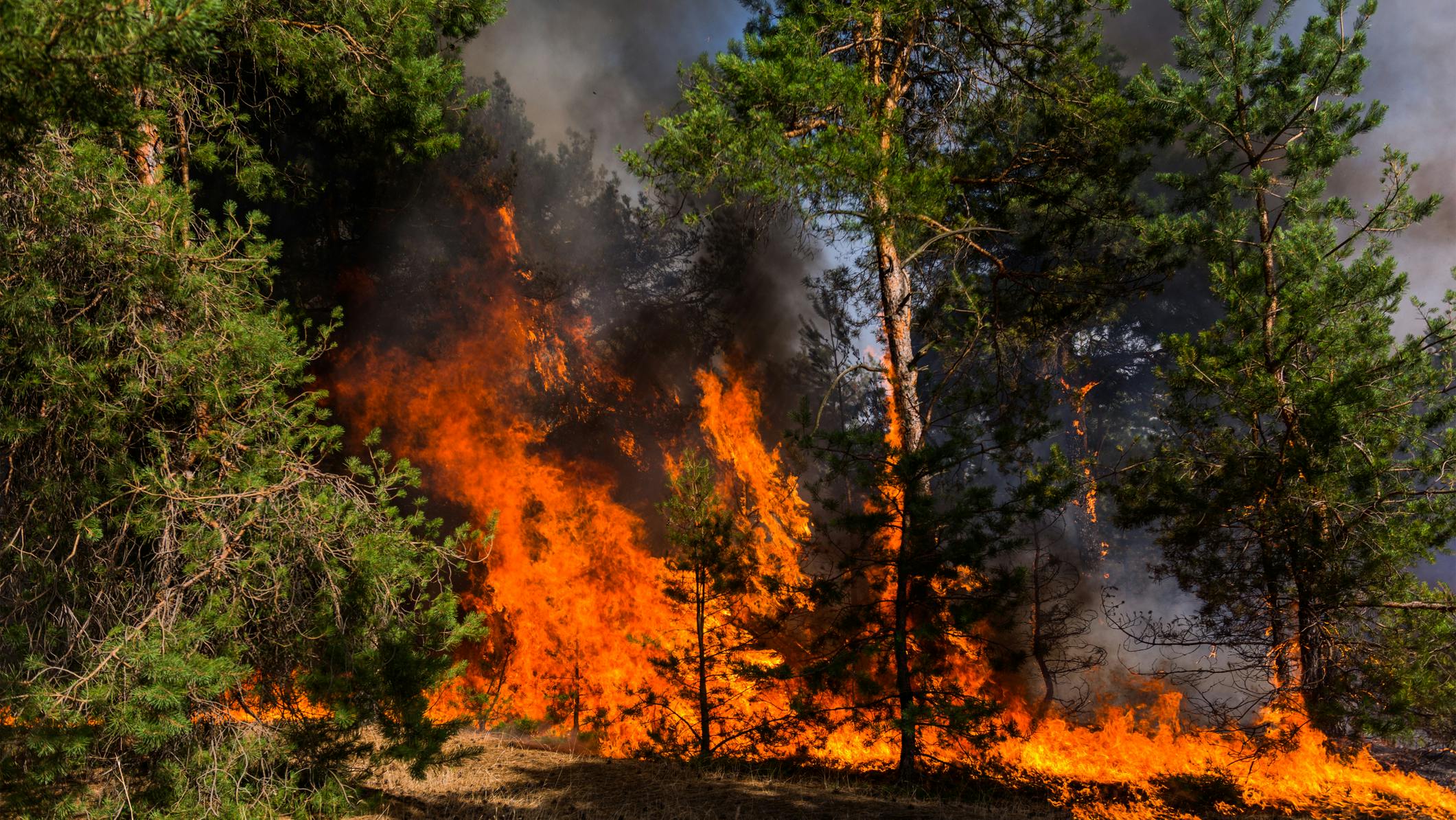 dreamstime_m_121896650