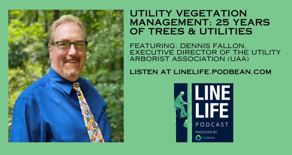 6705740b1aa07f56e76650e6 Dennisfallonpromo