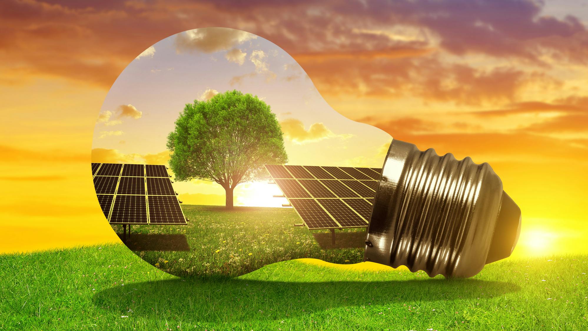 670d4340e1ba5d67e1a7463c Dreamstime M 82570891