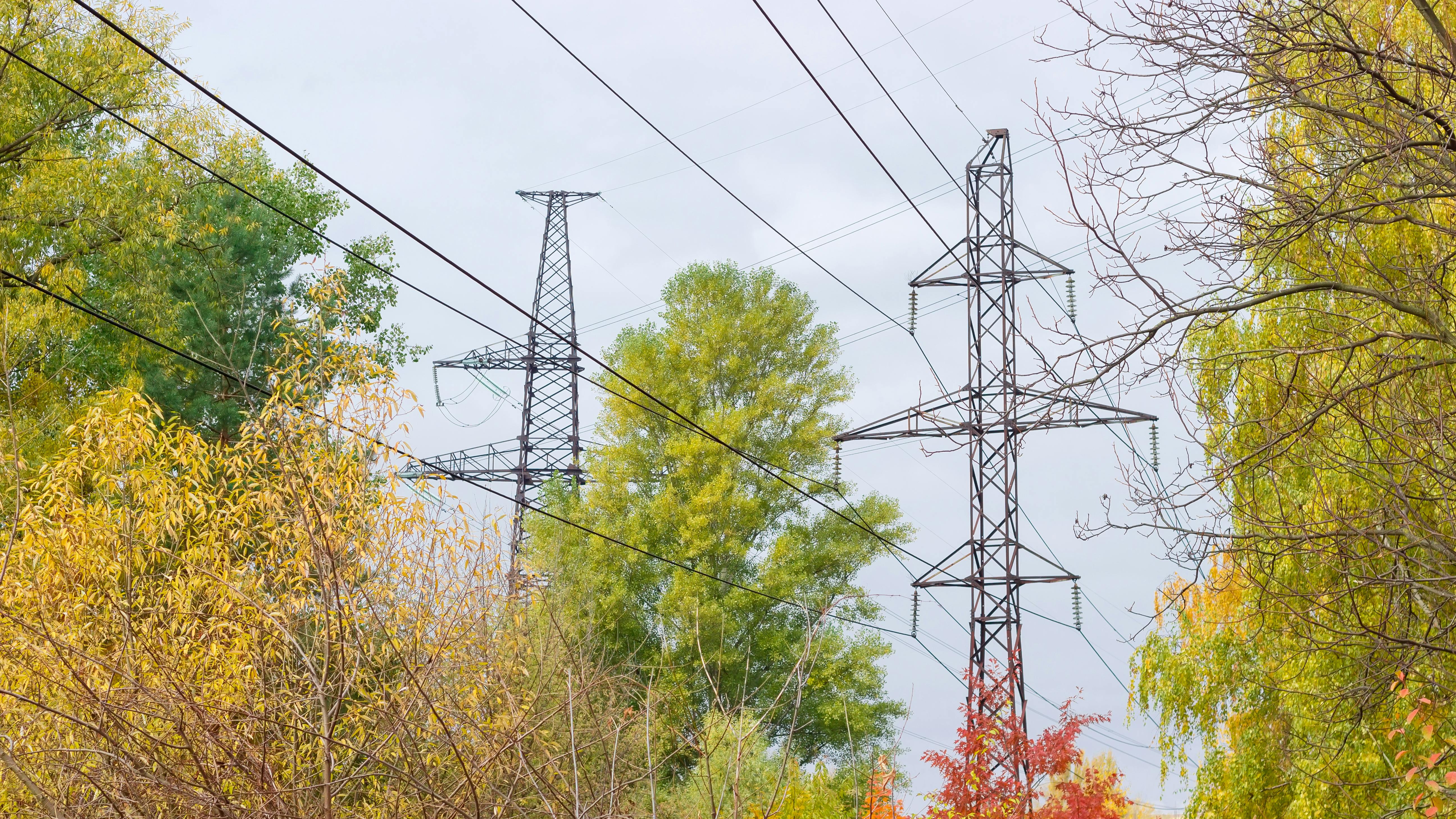 6717b1e2cefde854388334bf Dreamstime Xxl 62450561