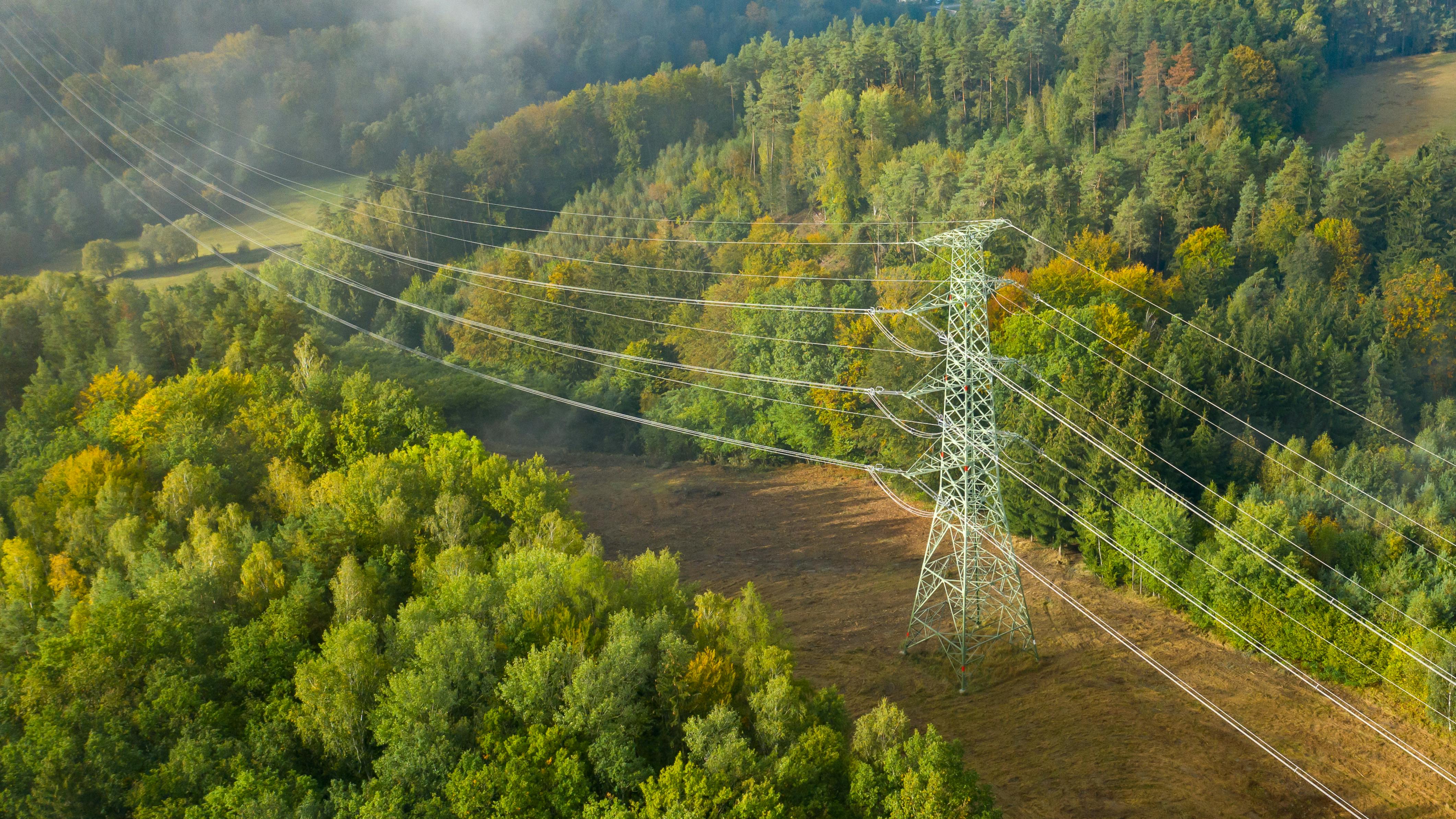 6719205d1154b08253a7da60 Dreamstime Xxl 206385967