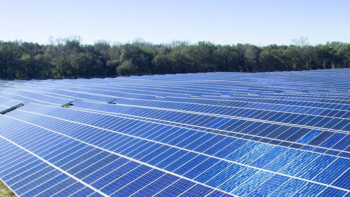 67193e7c871ab27a9d5545a9 Nee Fpl Solar