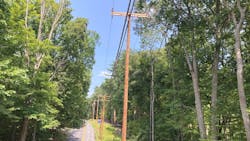 671f9b0afca3ea0400b4bca9 Transrebuild940x520 671f9b0afca3ea0400b4bca9 Transrebuild940x520