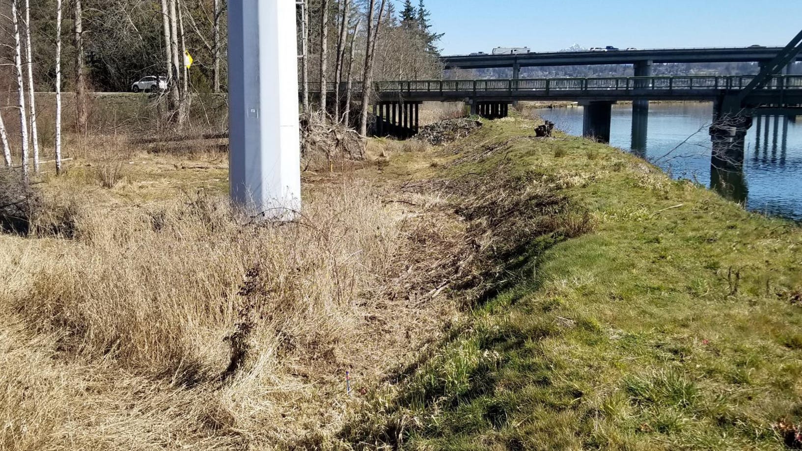 Steel pole next to Snohomish river before dike breach.