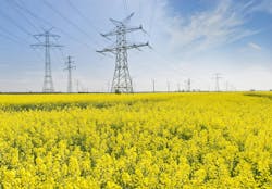 The capacity of OPL structures is often the product of application of a multitude of load cases – a synergistic design capable of resisting the applied loads. The capacity of OPL structures is often the product of application of a multitude of load cases – a synergistic design capable of resisting the applied loads.