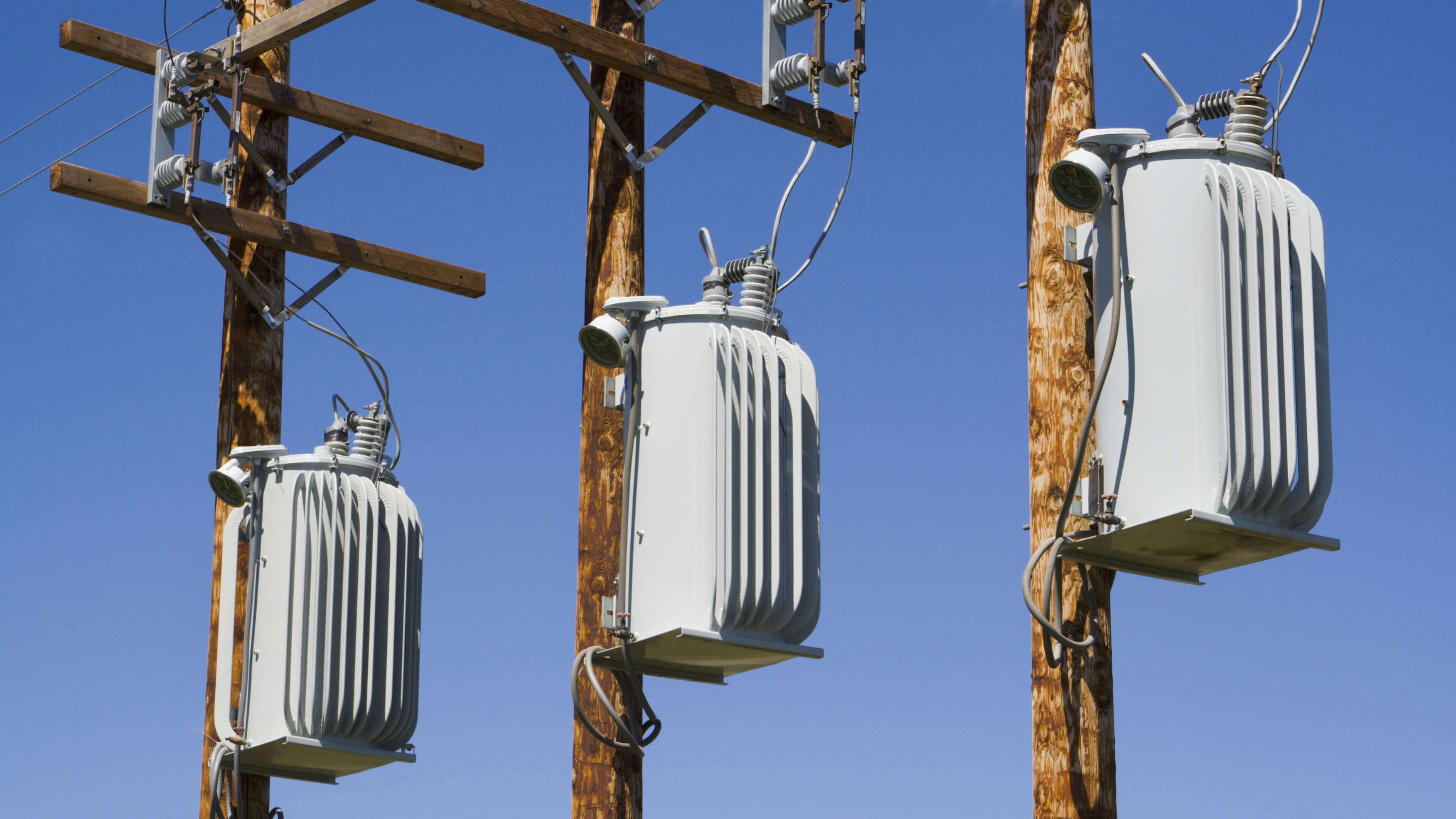 6723f2e10b65f0800671af44 Gettyimages172327345