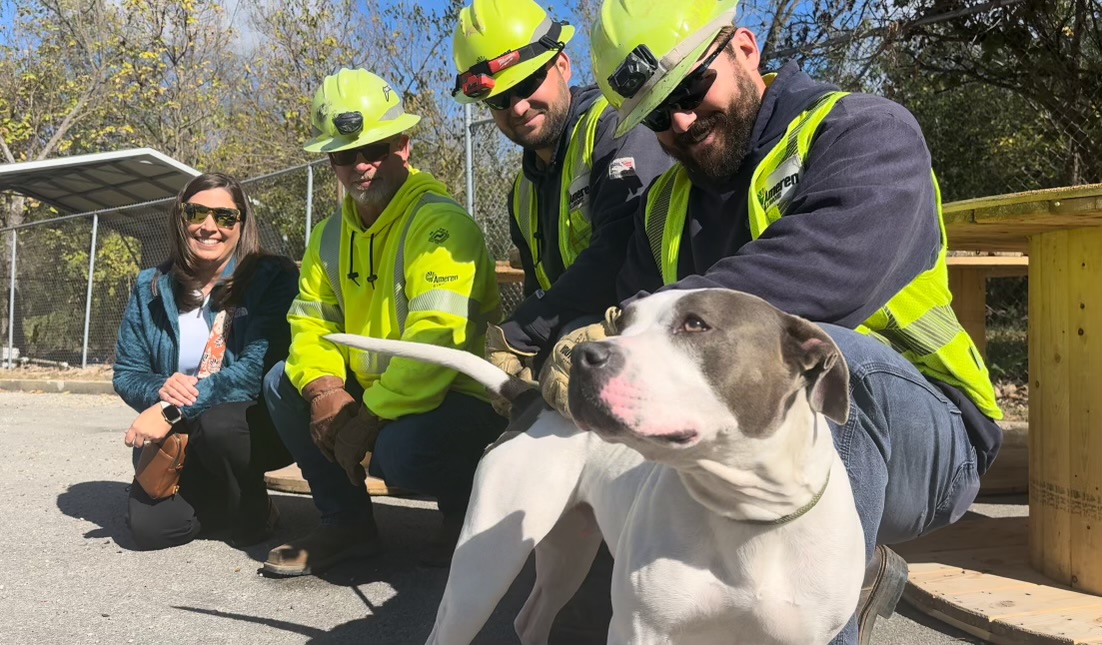 672e3b6f760bac41b14854a0 Dogs Life Karly 1