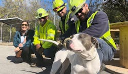 672e3b6f760bac41b14854a0 Dogs Life Karly 1 672e3b6f760bac41b14854a0 Dogs Life Karly 1