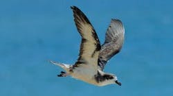 6734b94b8625cd455dfc01b8 Vcsprasset 3609462 340321 639c35650ab7446d9ec20923 6734b94b8625cd455dfc01b8 Vcsprasset 3609462 340321 639c35650ab7446d9ec20923