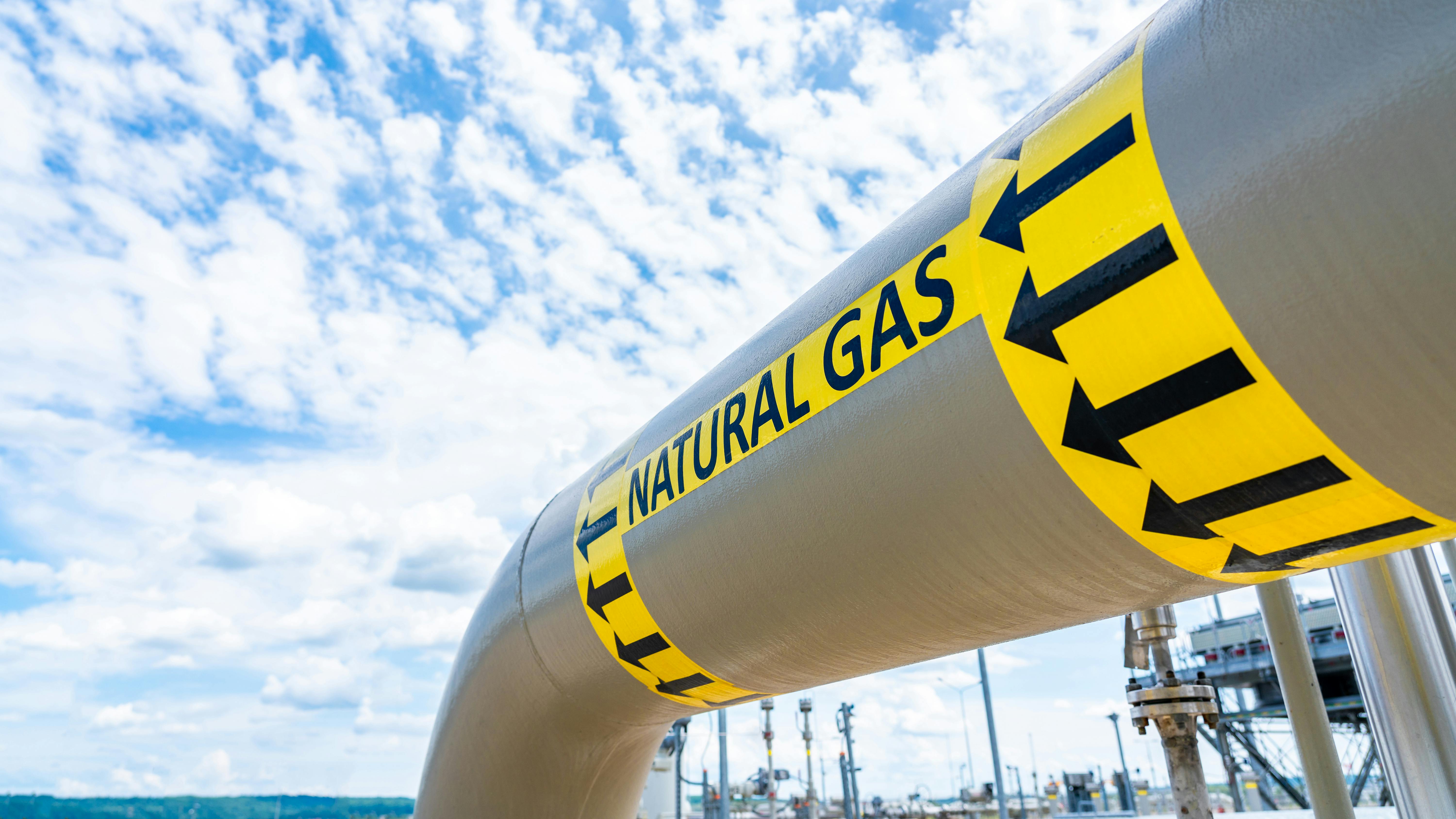 6734b9d6229fe20185d6ef52 Dreamstime Xxl 322222661