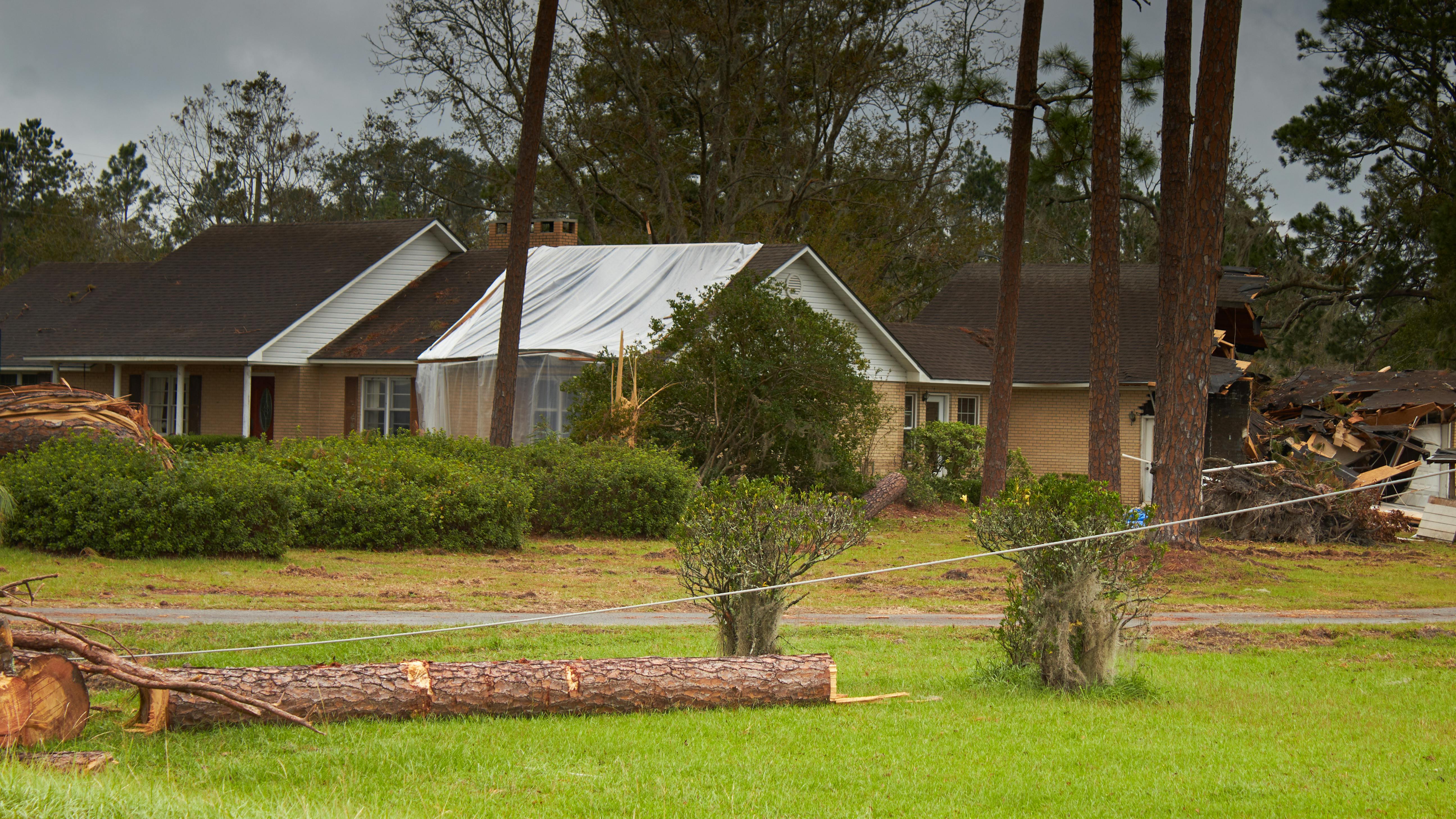 673baf8b842356059e37ca82 Dreamstime Xxl 340378484