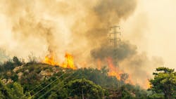 673c992035b66679f6590fd1 Dreamstime Xxl 226114802 1 673c992035b66679f6590fd1 Dreamstime Xxl 226114802 1