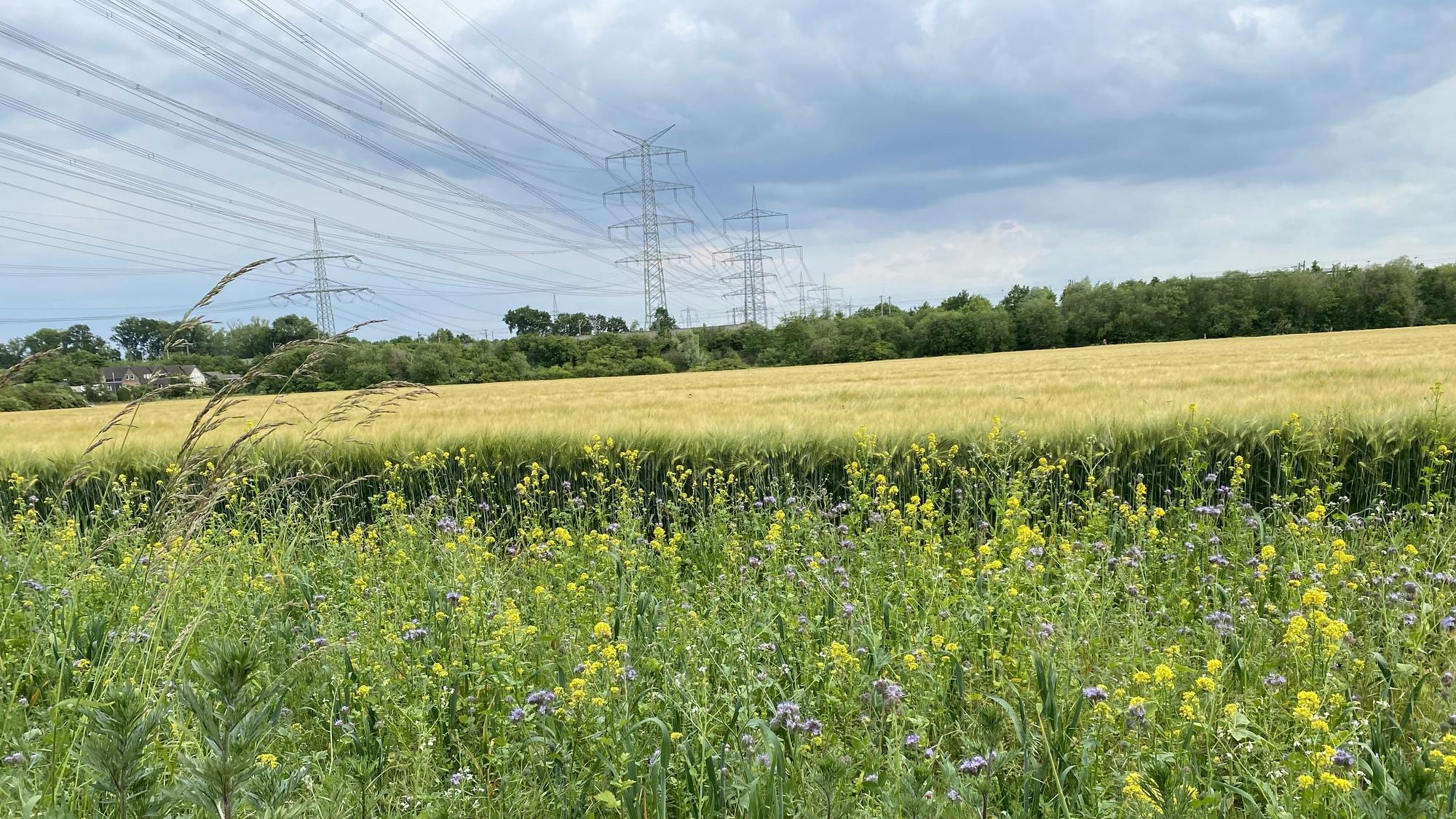 673e418a02ab42714370e4bc Gettyimages1496443314