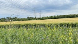 673e418a02ab42714370e4bc Gettyimages1496443314 673e418a02ab42714370e4bc Gettyimages1496443314