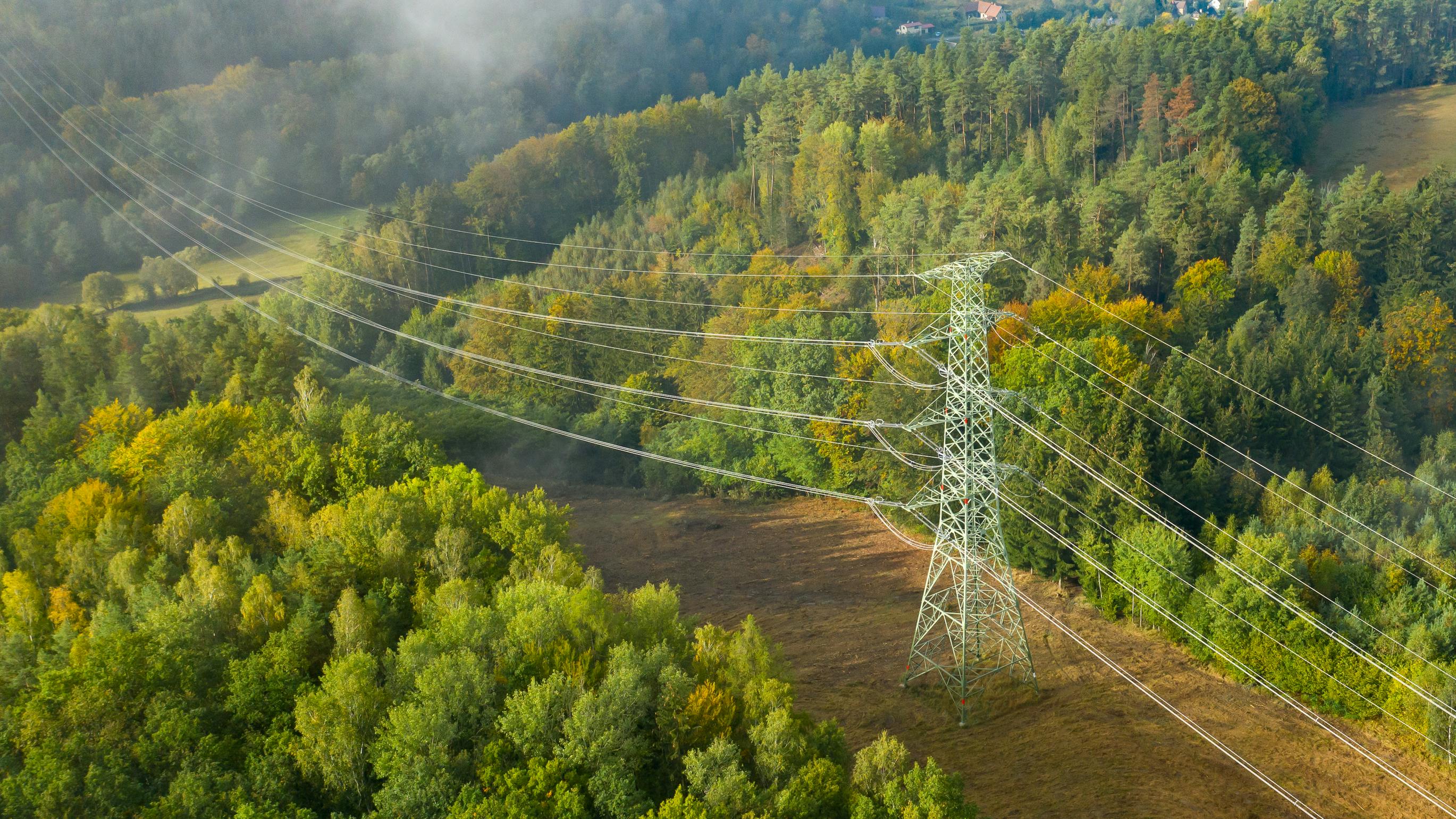 677c10fac5fcad762742ee61 Dreamstime L 206385967 3