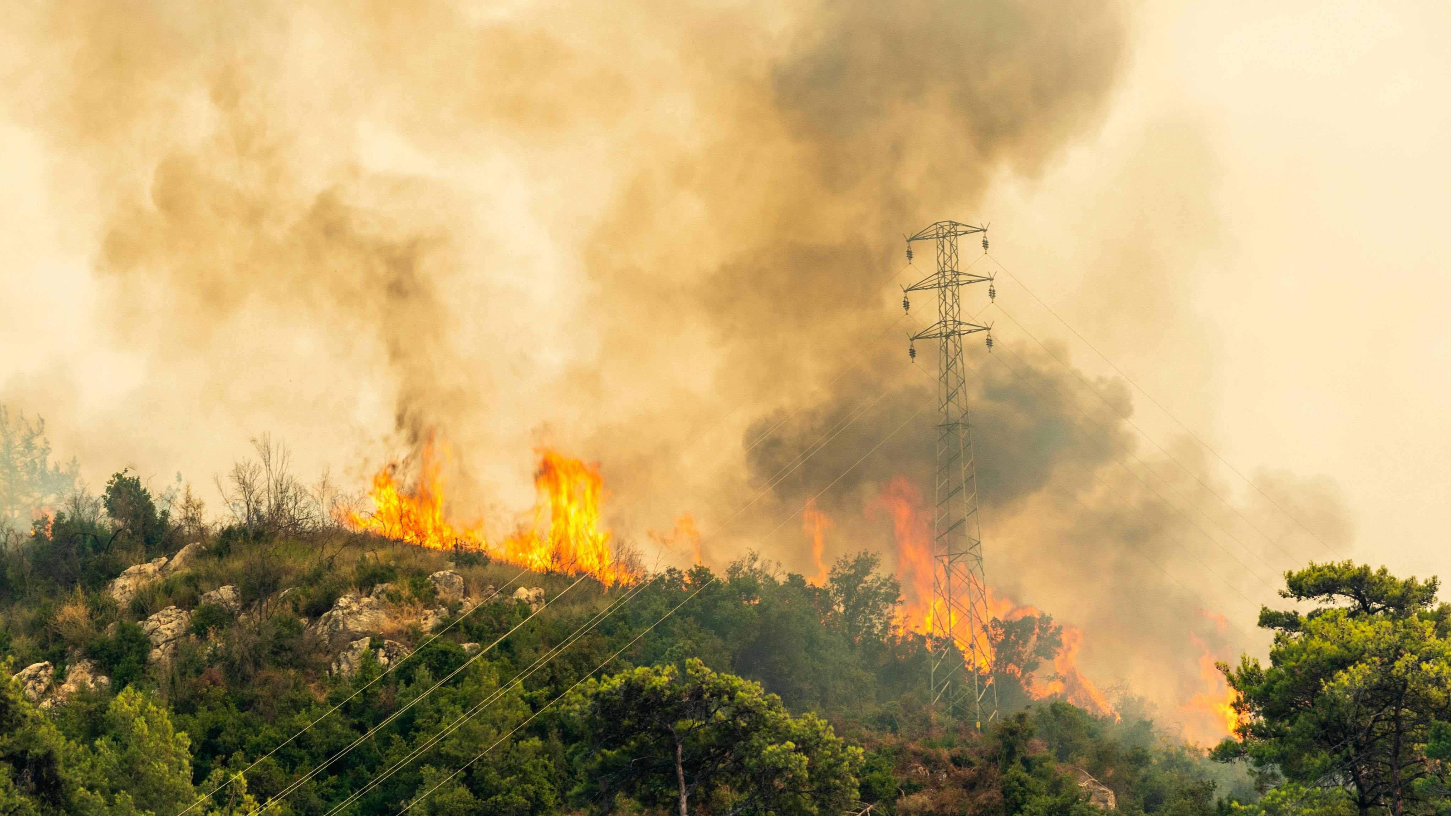 677fefa7baa2e469218dfbee Dreamstime Xxl 226114802 2