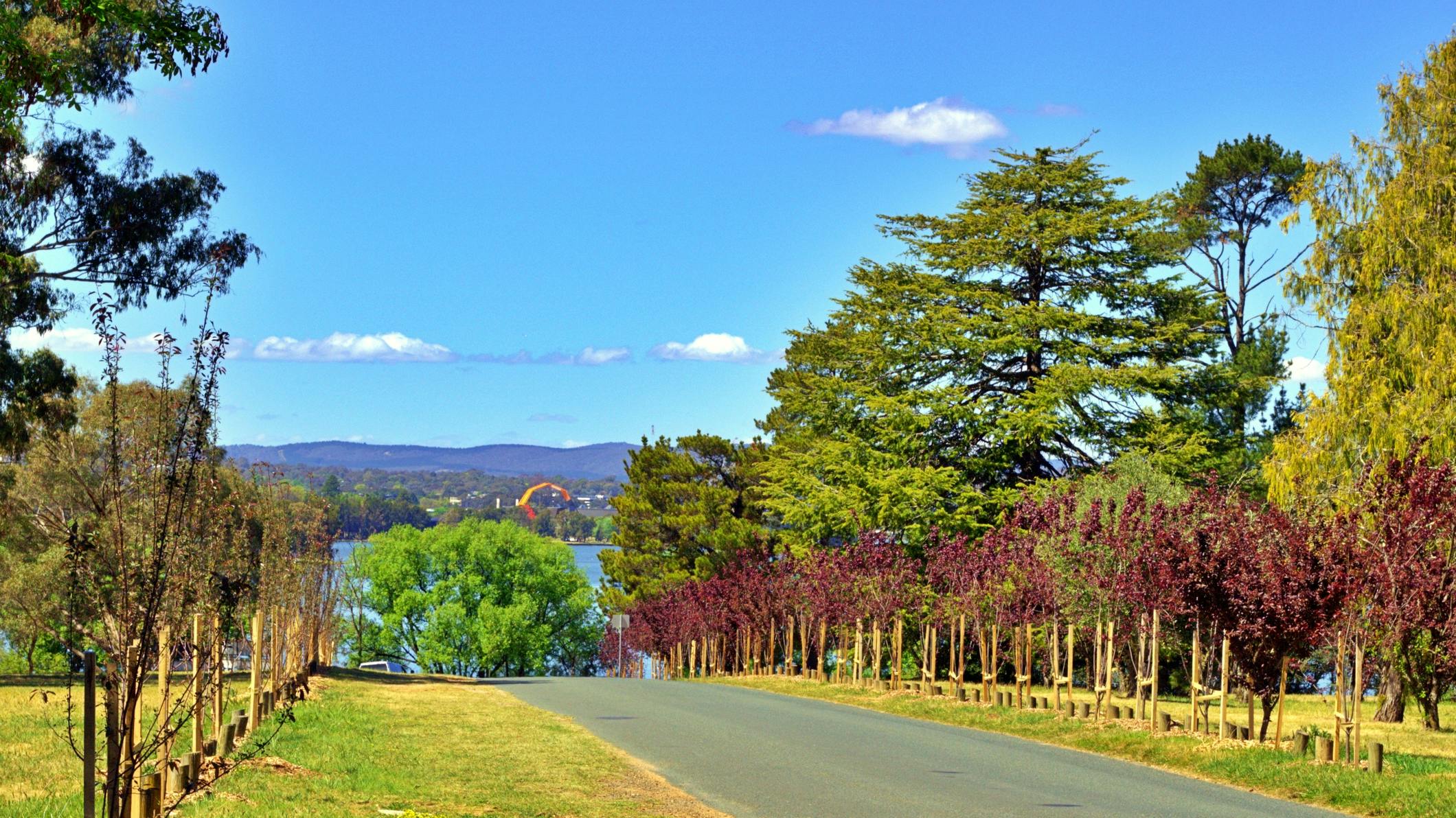 67810d7f4477ab70f5c4237a Dreamstime M 340326178