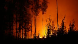 67810ecd4f1ee101cab21da8 Dreamstime M 95782277 67810ecd4f1ee101cab21da8 Dreamstime M 95782277