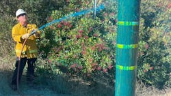 6785217a4477ab5578c44bff 1568x1088siptsocalwildfires 6785217a4477ab5578c44bff 1568x1088siptsocalwildfires